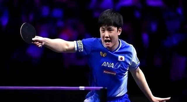 关于波兰乒乓球队血洗法国乒乓球队,张本智和绝境逆转的信息 关于波兰乒乓球队血洗法国乒乓球队,张本智和绝境逆转的信息