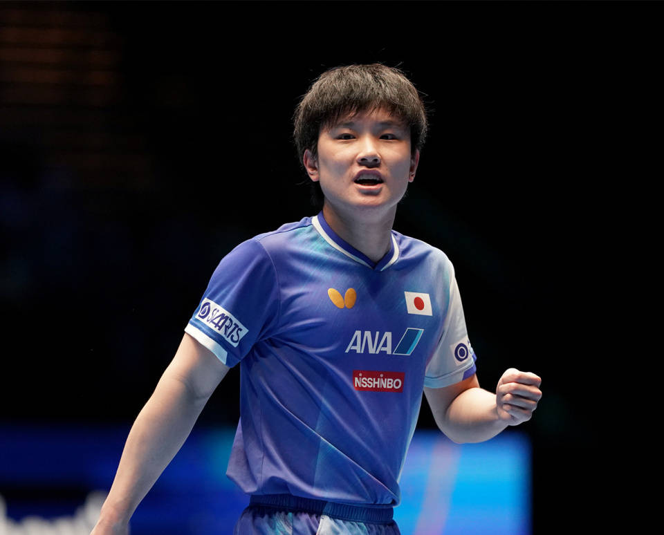 关于波兰乒乓球队血洗法国乒乓球队,张本智和绝境逆转的信息 关于波兰乒乓球队血洗法国乒乓球队,张本智和绝境逆转的信息