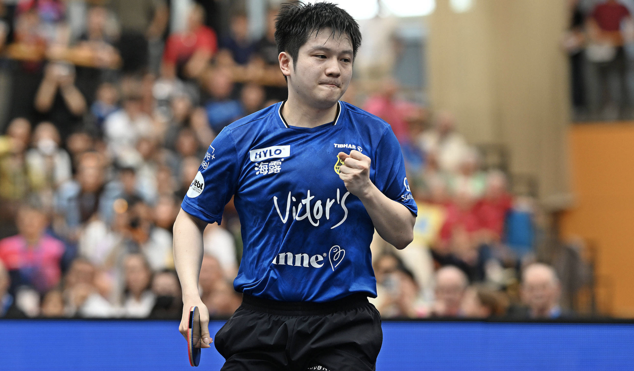 日本乒乓球队横扫德国乒乓球队，樊振东制霸全场的简单介绍