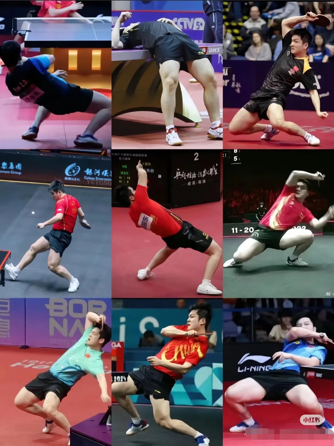 日本乒乓球队碾压德国乒乓球队，樊振东统治全场的简单介绍