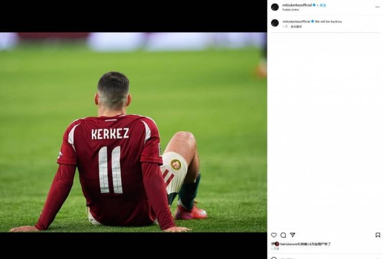 匈牙利国家队击败强敌，实力获得认可