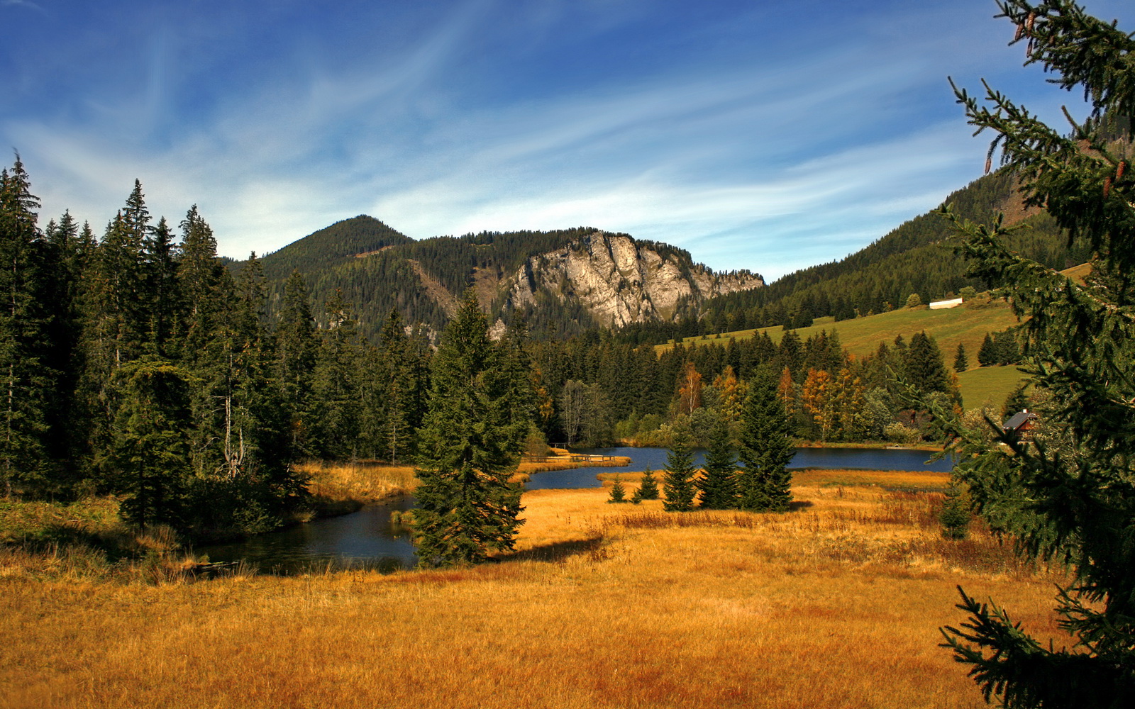 鹈鹕对阵尼克斯,西亚卡姆表现堪称教科书,诠释现代前锋的完美答案
