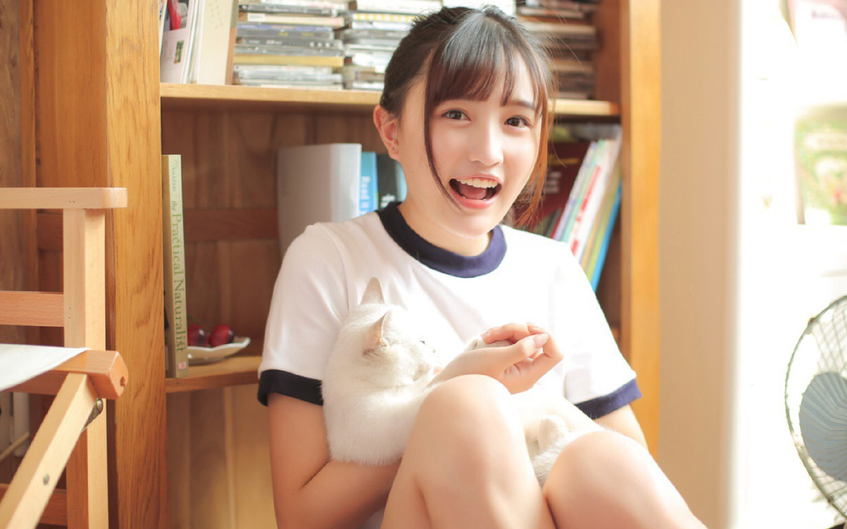 西决生死战焦点战，摩洛哥力克丹麦，足球与篮球的跨时空共鸣