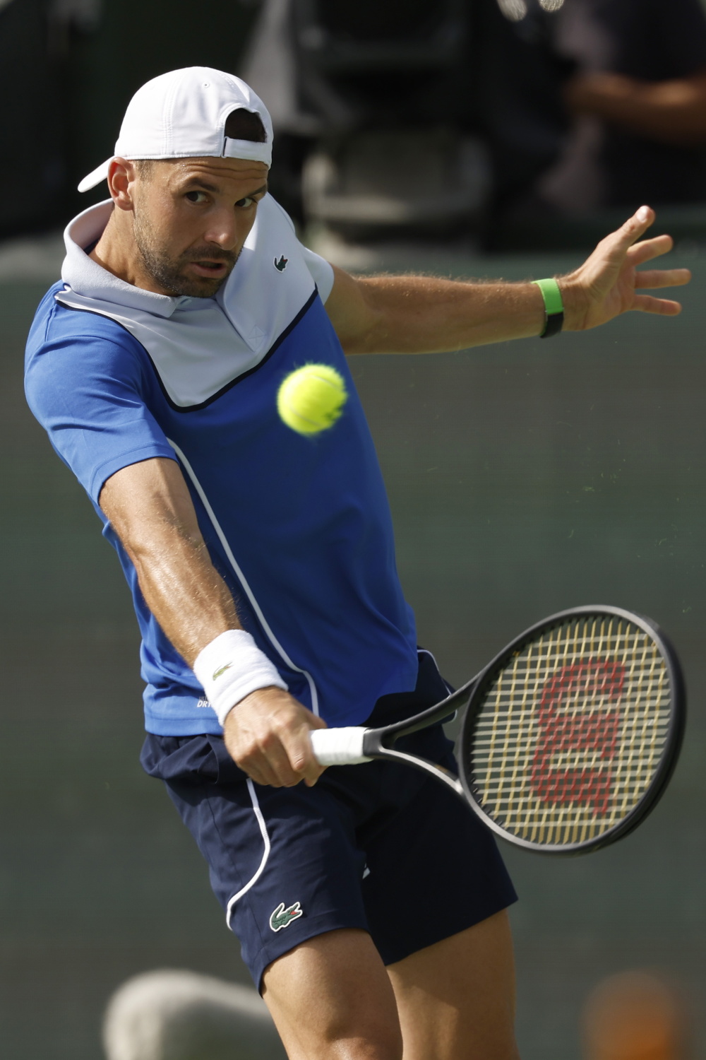 戴维斯杯绝杀澳网，梅德韦杰夫惊艳四座的简单介绍