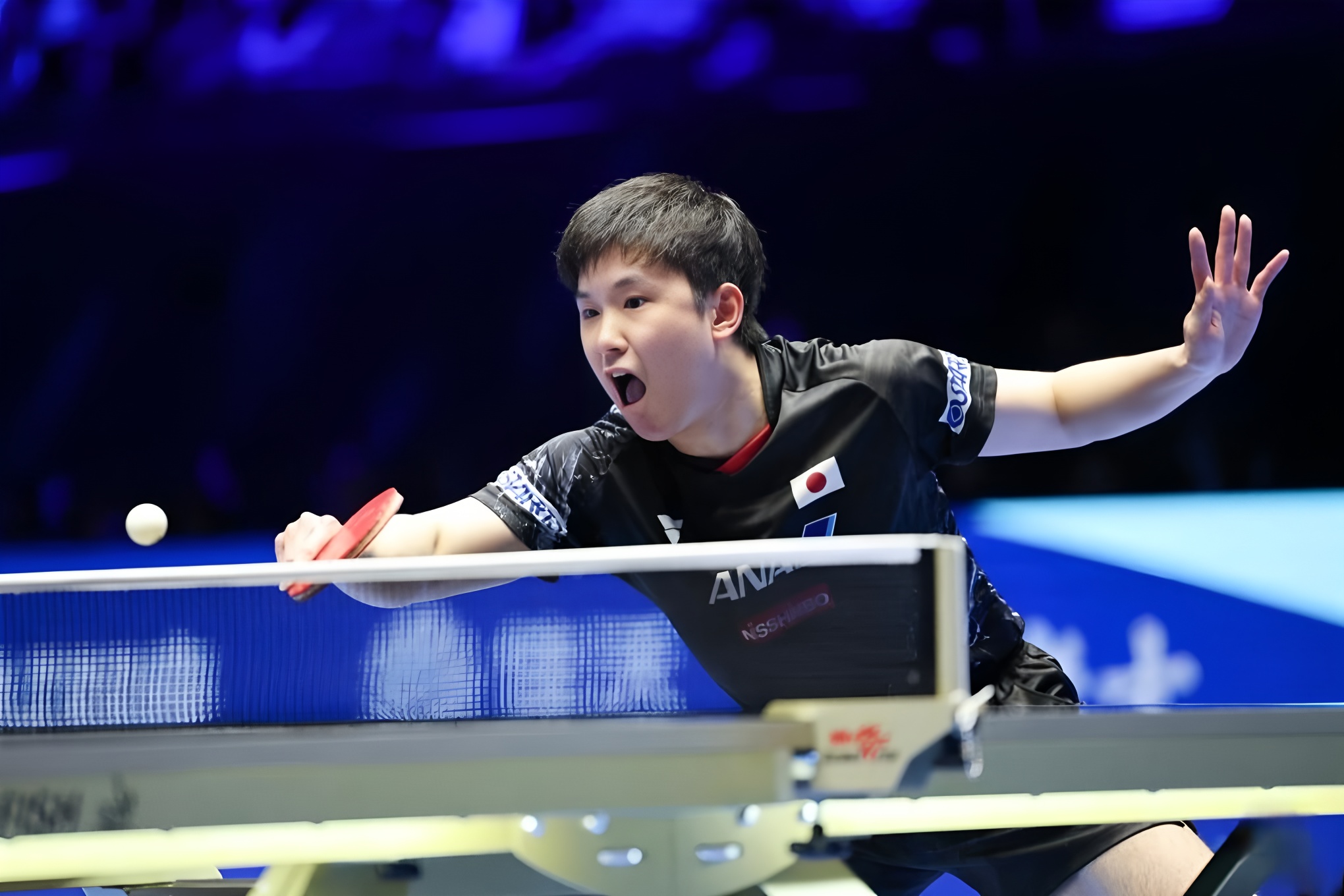 包含韩国队鏖战波兰队，张本智和刷新纪录的词条