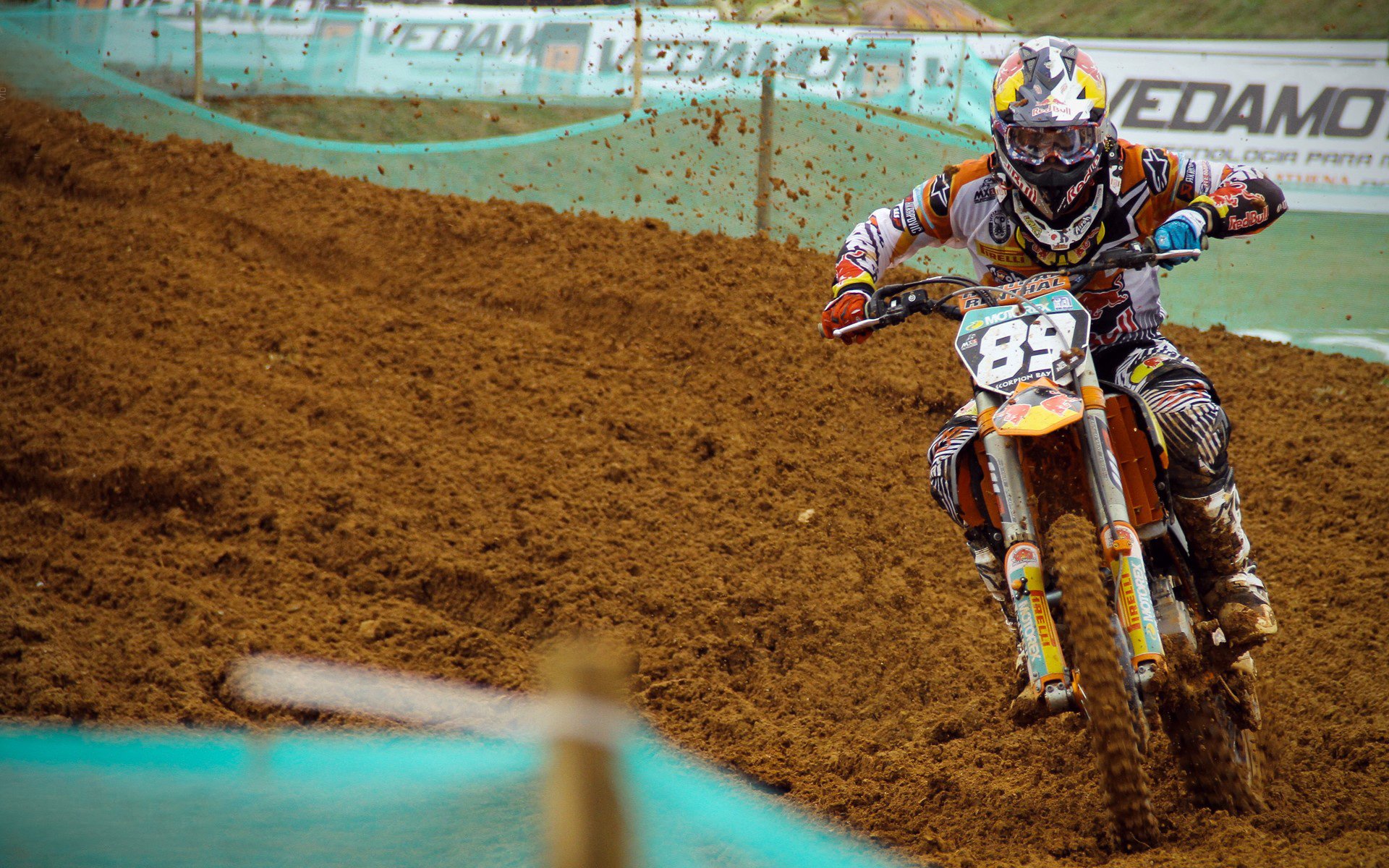 当雨林遇见峡湾，库尔图瓦用数据冰封了哥斯达黎加的奇迹基因