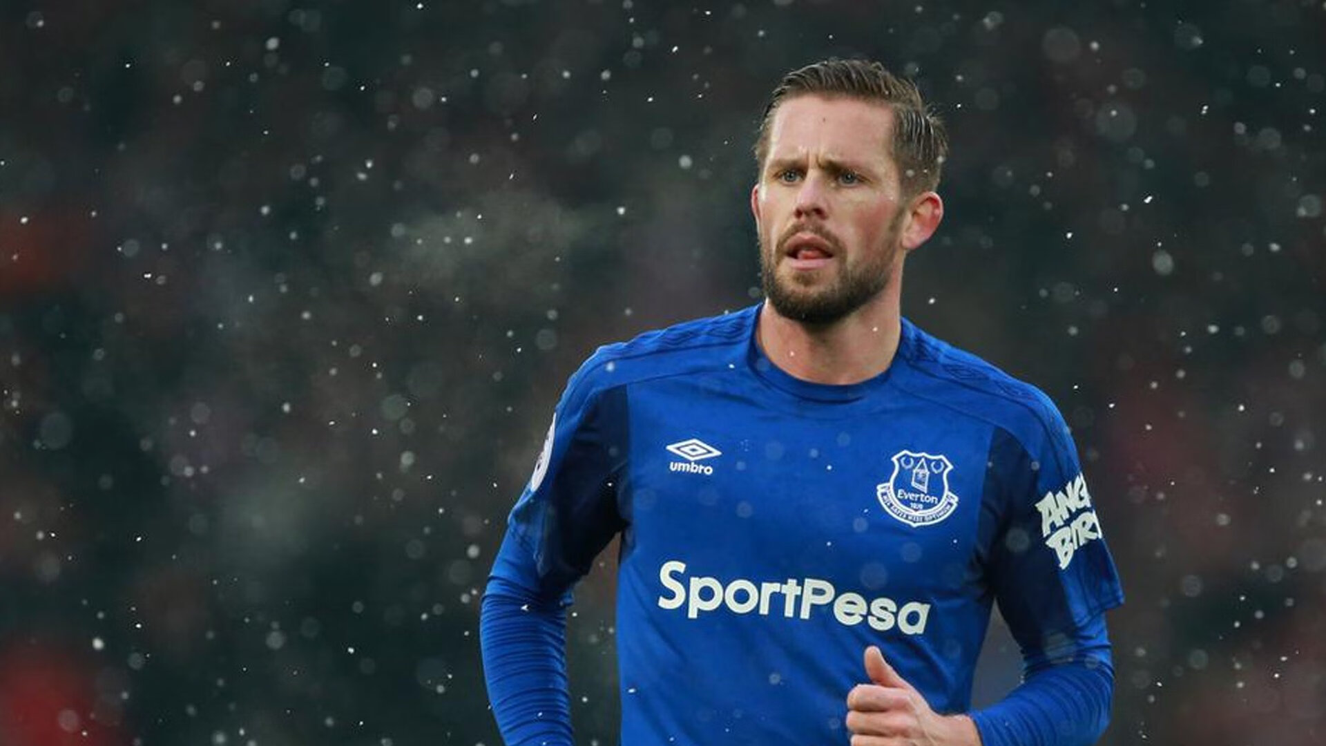 赛道与球场的双重奏，当F1争冠焦点遇上鹈鹕强压凯尔特人